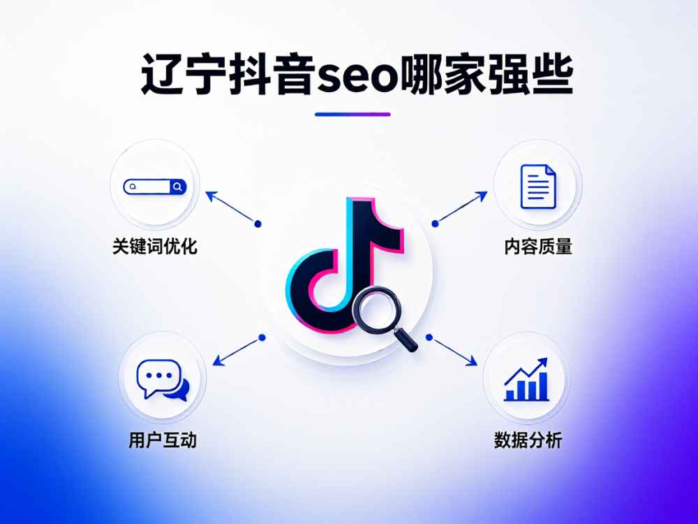 辽宁抖音seo哪家强些