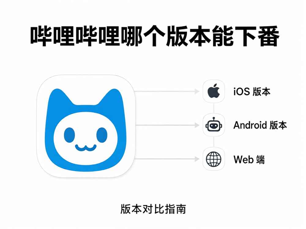 哔哩哔哩哪个版本能下番