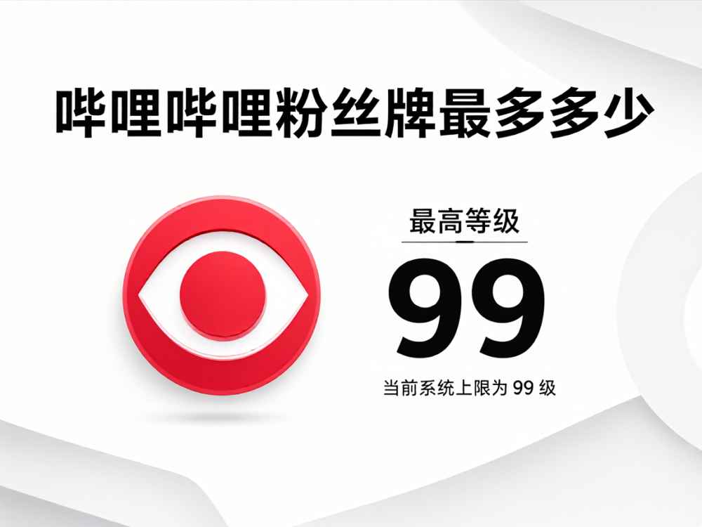 哔哩哔哩粉丝牌最多多少